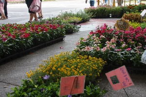 Longshan.Zoo.Flower.Market.Ximendig.2012.09.22.0054