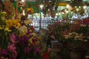 Longshan.Zoo.Flower.Market.Ximendig.2012.09.22.0072