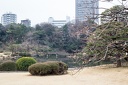 Tokyo.2015.0023