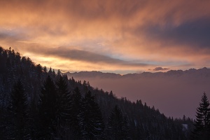 Col.du.Coq.2013.02.26.0010