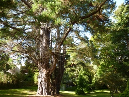 P1000555