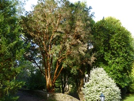 P1000563
