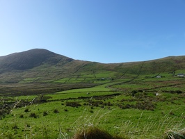 P1000459