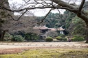 Tokyo.2015.0030
