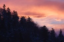 Col.du.Coq.2013.02.26.0006
