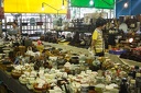 Longshan.Zoo.Flower.Market.Ximendig.2012.09.22.0069