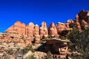 Day.5.Canyonlands.The.Needles.0020