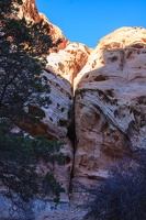 Day.3.Bryce.to.Capitol.Reef.to.Moab.0045