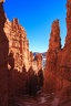Day.2.Zion.to.Bryce.0033