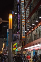 Tokyo.2015.0040