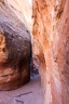 Day.3.Bryce.to.Capitol.Reef.to.Moab.0036