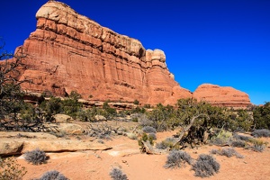 Day.5.Canyonlands.The.Needles.0014