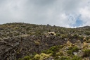 Day-09-Trek-5-0014