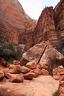Day.1.Las.Vegas.to.Zion.0017