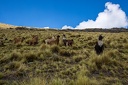 Day-08-Trek-4-0022