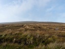 P1000775