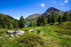 Day.12.Anterselva.Obersee-0014