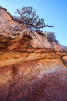 Day.3.Bryce.to.Capitol.Reef.to.Moab.0019