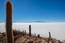 Day-14-Uyuni-Isla-Incahuasi-0019