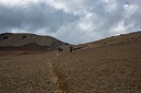 Day-11-Trek-7-0010
