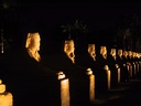 161-TempleLouxor
