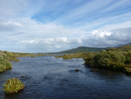 P1000502