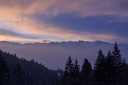 Col.du.Coq.2013.02.26.0011