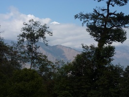 P1010678