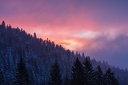 Col.du.Coq.2013.02.26.0005
