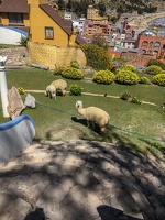 Day-03-Titicaca-Isla-del-Sol-0009