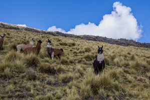 Day-08-Trek-4-0023