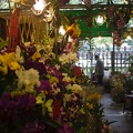Longshan.Zoo.Flower.Market.Ximendig.2012.09.22.0073.JPG