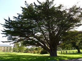 P1000552