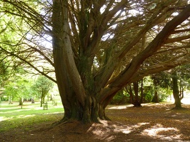 P1000568