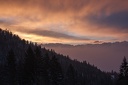 Col.du.Coq.2013.02.26.0010