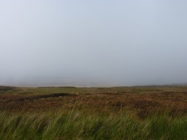 P1000774