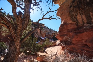Day.3.Bryce.to.Capitol.Reef.to.Moab.0026