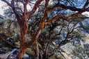 Day-01-Acclimatization-Day-at-Churup-Lake.0002